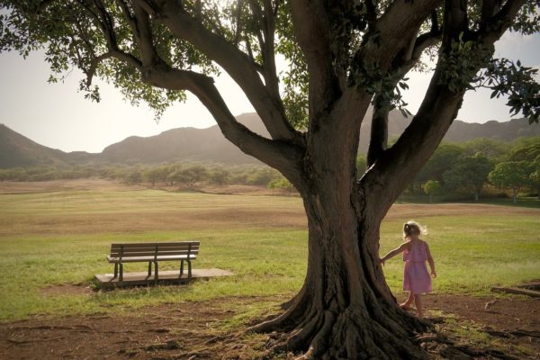 child, girl, nature-4816851 child, girl, nature